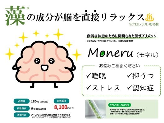 55%モネル① - コピー